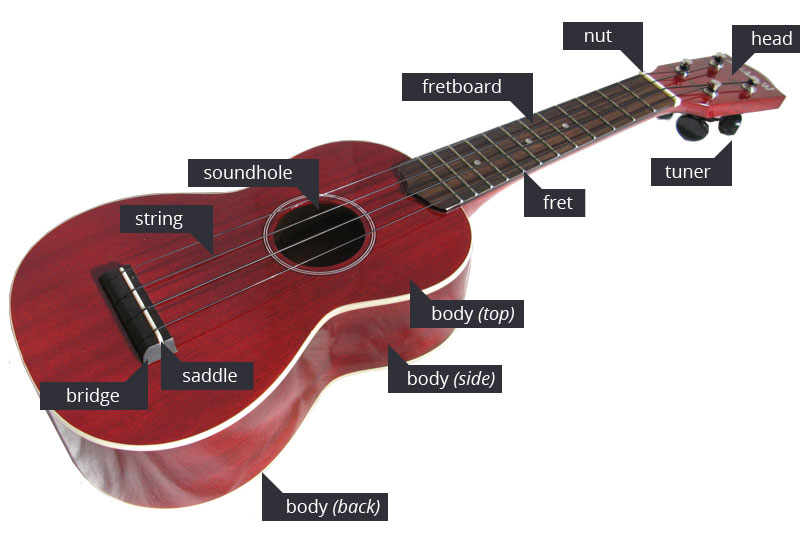 Parts of the ukulele Learn To Play the Ukulele
